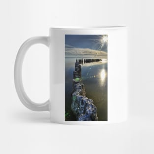 Salton Sea Mug